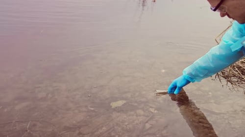 Ecological Water Sampling Hand Of Scientist Researcher Draws Water With Test Tube From Reservoir