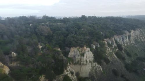 Shot from a drone flying sideways over a forest on top of a cliff in Portugal.