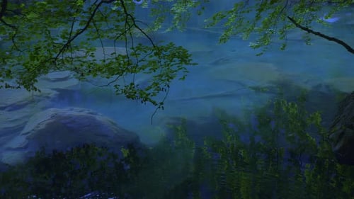 Picturesque Underwater Scenery with Abundant Foliage Calm Blue Waters and a Serene Atmosphere