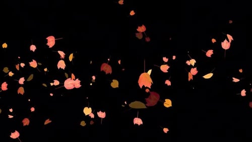 Colorful Autumn Leaves - Windy Flying Spurt Jet Transition - II - Alpha Channel