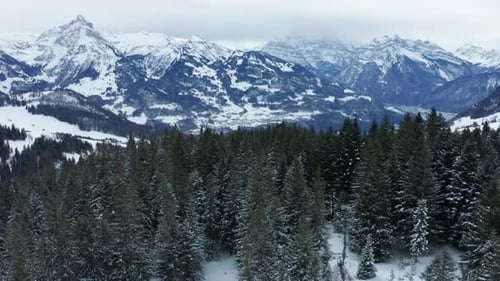 wunderschöner Drohnenflug im Winter über Pinien mit herrlichem Bergpanorama