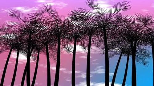 Schöne Palmen-Animation mit Wolken, die sich am Himmel bewegen, Sommerhimmelsansicht mit Palmen