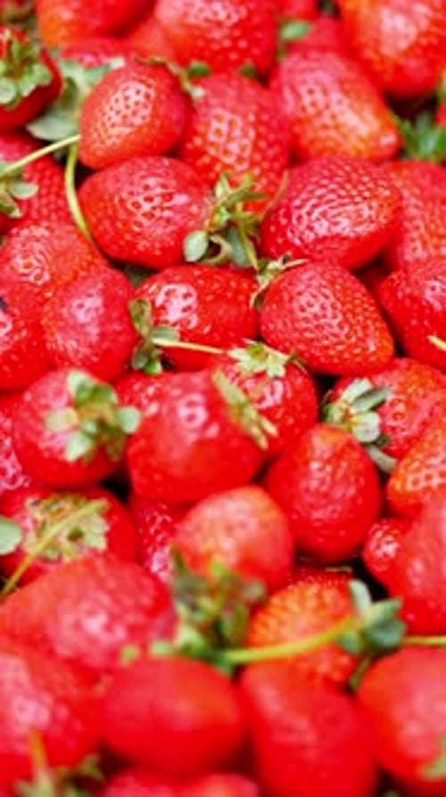 Ripe Red Strawberries in a Bowl