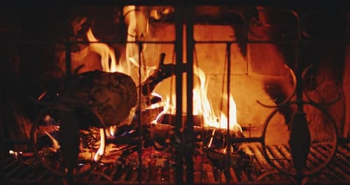 Crackling Fireplace with Flames Behind Iron Gate