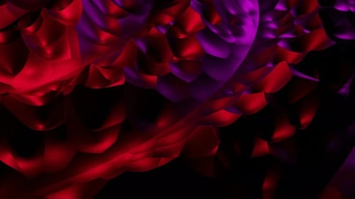 Abstract Fluid Motion Background with Red and Purple Colors
