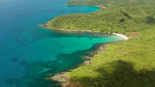 Tropical Island with Blue Lagoon