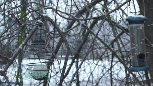 Small bird feeding houses or elements hanging from white snow covered tree branches during winter.