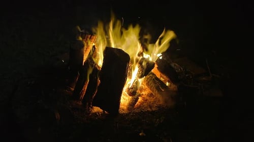 Small Camp Fire Outside Up Close Night