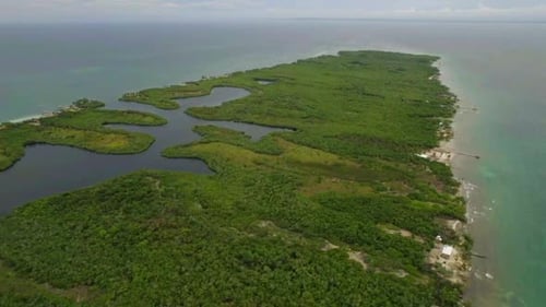 Drone shot of Tintipan island forest. Landscape of Colombia.