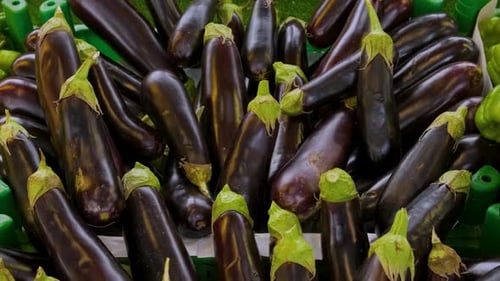 Fresh Eggplant Vegetables on a Counter in Street Food Market Farming and Agriculture Concept Vegan
