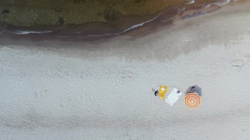 The people in the beach aerial