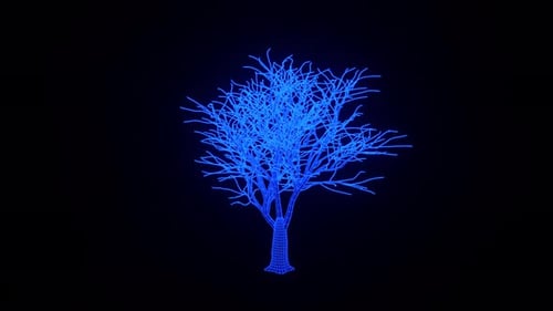 Animación 3D holográfica sobre el crecimiento de un limonero