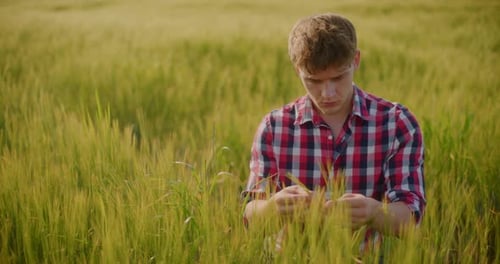 Farmer Examining Crops Wheat Field Agriculture Harvesting