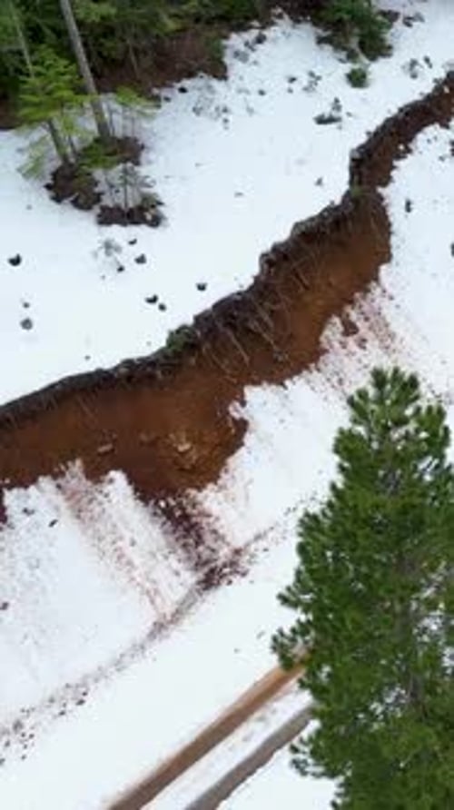Vertical Video Winter Forest Cinematics Aerial View of Pickup Truck on Snowy Road Enveloped By