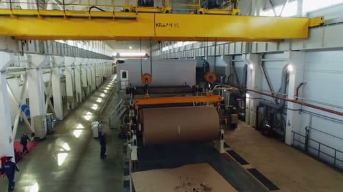 Huge Paper Roll on Conveyor Belt and Workers in Workshop