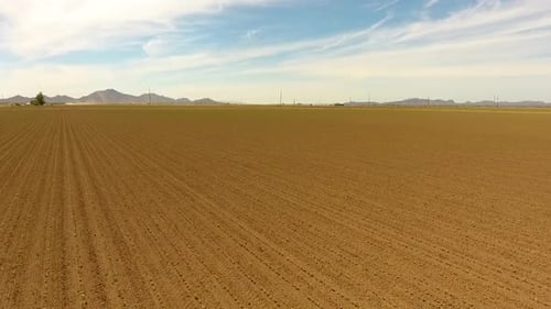 Revealing drone shot of crop rows on a farm