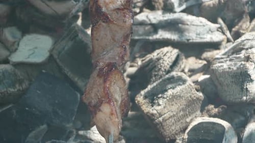 Delicious grilled meat kebab skewers cooking over coals
