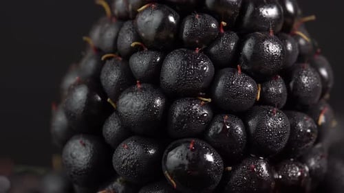 Close-up of Ripe Blackberries with Water Droplets