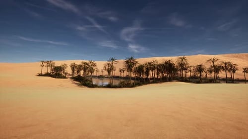 A Tranquil Oasis Surrounded By Golden Sands in a Vast Desert Landscape