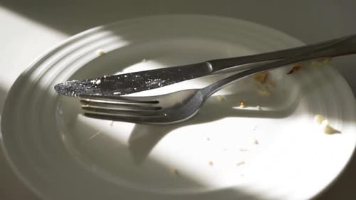 Empty Plate with Crumbs After Eating