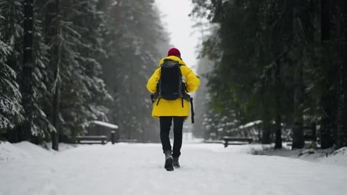 Active Lifestyle Backpacking in Forest in Winter Rearview Tourist Walking Rearview of Traveler