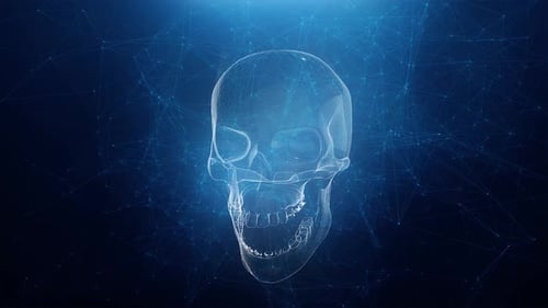 Abstract Skull Animation with Blue Plexus Background