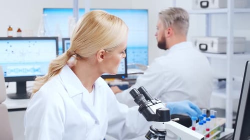 Scientists Working in Modern Bright Laboratory