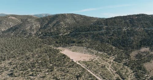 a dirt road between trees