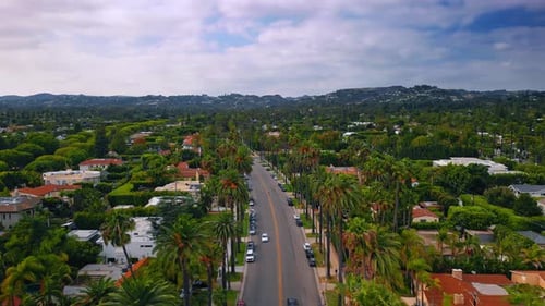 Flight over the road across the beautiful residential area in lush greenery.