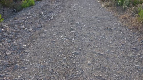 Dirt road and the sun in nature