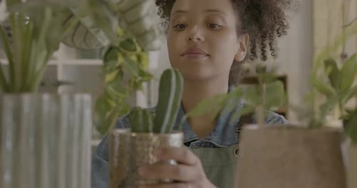 Young adult Female Retail Clerk Arranging Potted Plants in Store