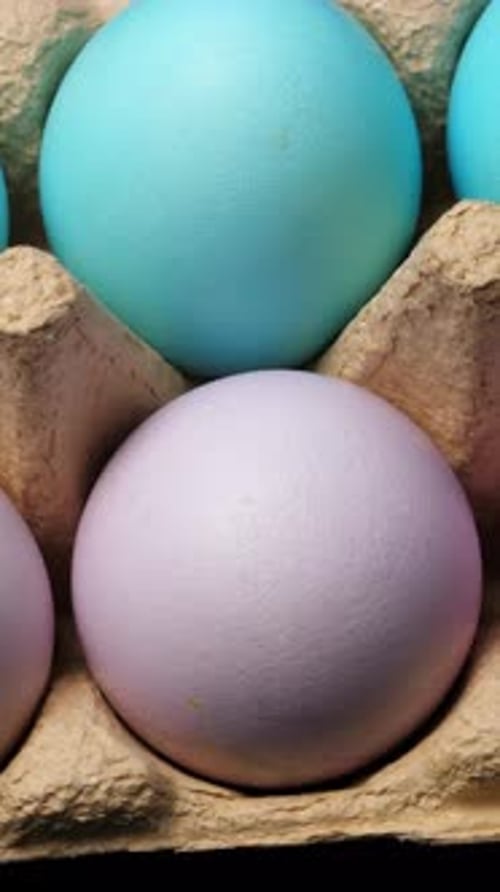 Painted Easter Eggs in Pack Closeup Rotating Vertical