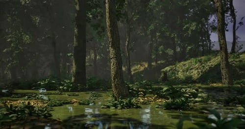 Lush Forest Setting with Vibrant Greenery and Tranquil Water Reflections