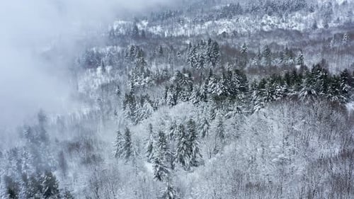 Majestic aerial view of a snow-covered winter forest with mist and serene beauty