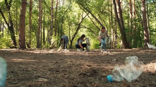 Volunteers Cleaning Up Trash in the Forest Park