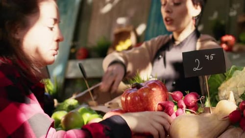 Woman Buying Fresh Apples at Outdoor Market