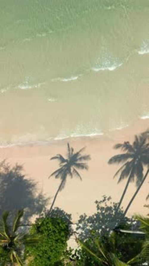 Plage tropicale avec des ombres de palmiers sur le sable et des vagues cristallines