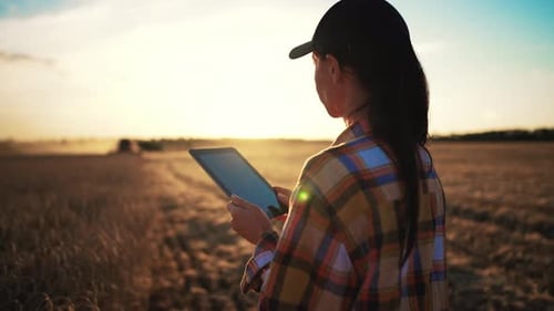 Woman Farmer in Wheat Field Holding Digital Tablet and Typing on Screen Working Combine Harvester