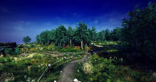 Scenic Pathway Through a Serene Forest Landscape with Blooming Flowers