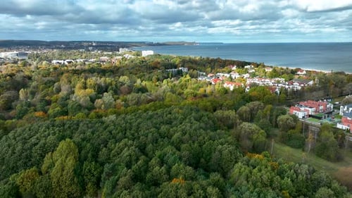 Wide aerial view of coastal forest meeting the sea.