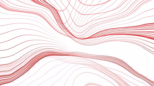 Abstract Flowing Red Data Waves on White Background