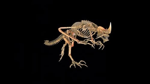 Devil Dinosaur Skeleton Run Idle 2