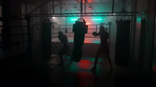 Boxer Fight Boxsack mit zwei Boxern