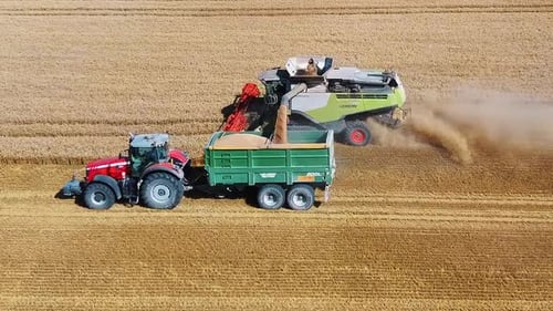 Drone Shot Flying Over Combine Harvesters Working on Wheat Field. Food Industry Concept.