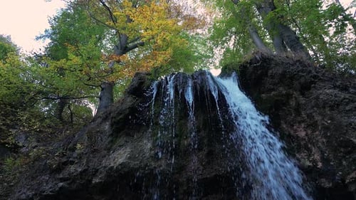 Waterfall in the Forest 39
