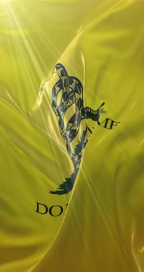 Ne me foulez pas le drapeau de Gadsden