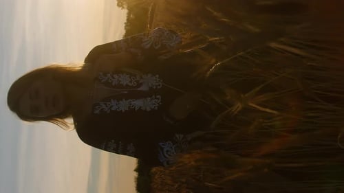 Vertical video caucasian romantic woman on a wheat field in evening blooming rays of light