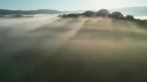 Aerial view of morning fog in green valley