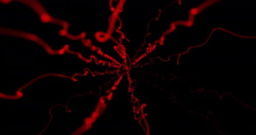 Red Trails