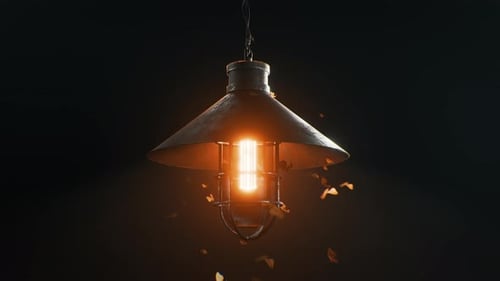 Moths Fly Around An Old Lamp Loop